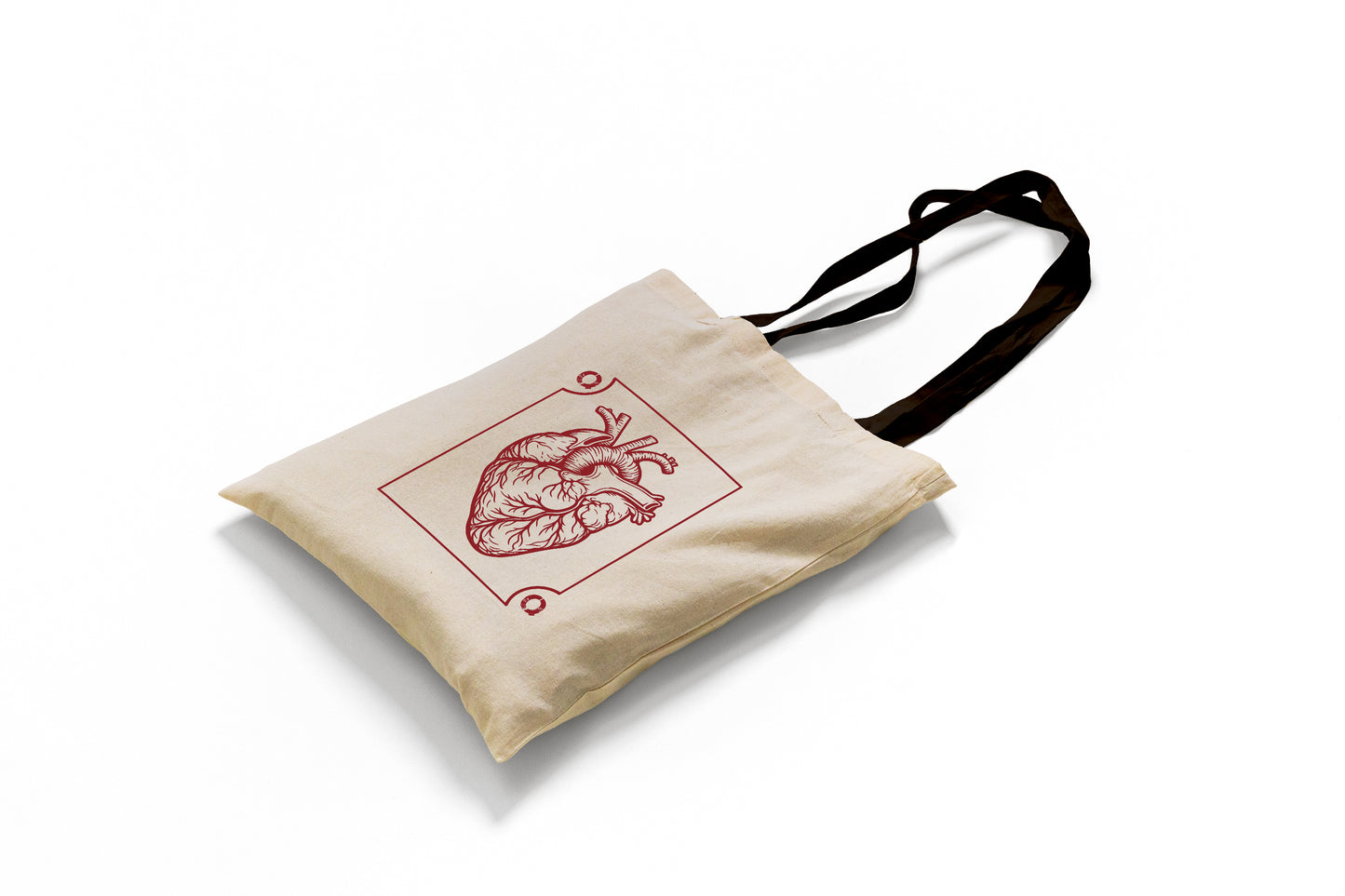 Quinto Quarto Bundle